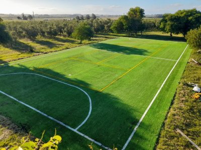 mega chacra, 750 m2 construidos, 9 dorm, piscina cubierta, 2.700 olivos - nyp40129h