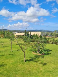 chacra en el lomo del pan de azúcar con vista al mar - nyp38382h