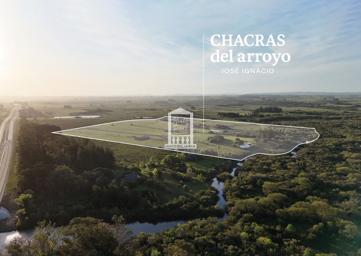 Sobre arroyo José Ignacio - NYP40807H