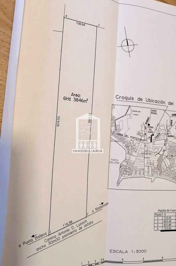 Camino Lussich - GoPunta - Portal Inmobiliario de Punta del Este - Maldonado