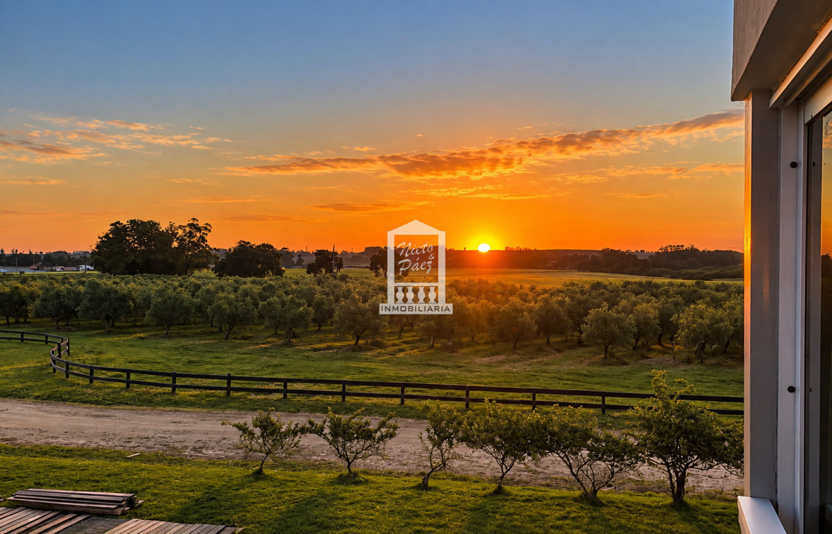 Mega chacra, 750 m2 construidos, 9 dorm, piscina cubierta, 2.700 olivos - NYP40129H