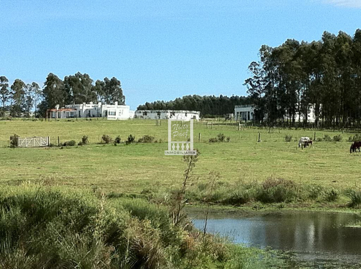 Camino Eguzquiza - GoPunta - Portal Inmobiliario de Punta del Este - Maldonado