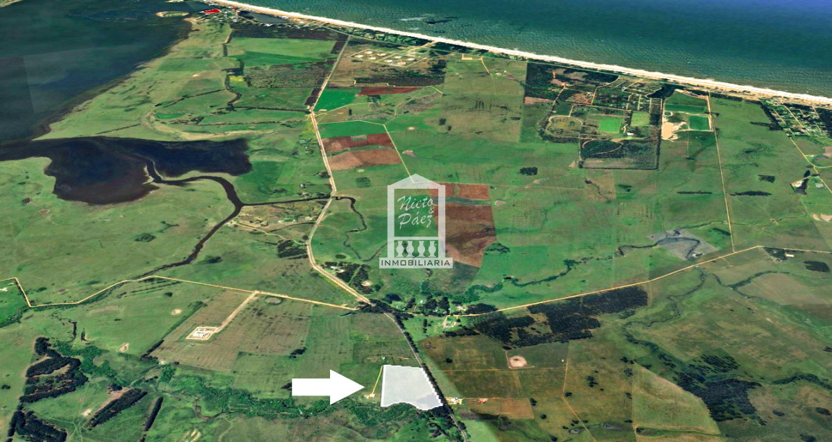 Medellin - GoPunta - Portal Inmobiliario de Punta del Este - Maldonado