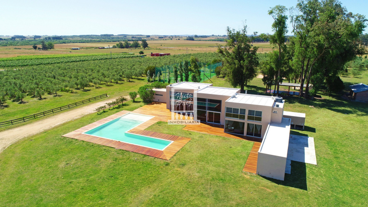 Mega chacra, 750 m2 construidos, 9 dorm, piscina cubierta, 2.700 olivos - NYP40129H