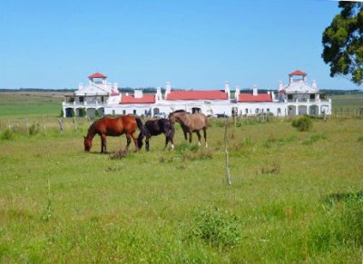 5.3 hectáreas al lado de Estancia Vik.
