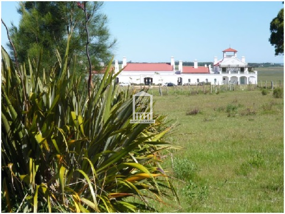 Cno. Saiz Martinez - GoPunta - Portal Inmobiliario de Punta del Este - Maldonado