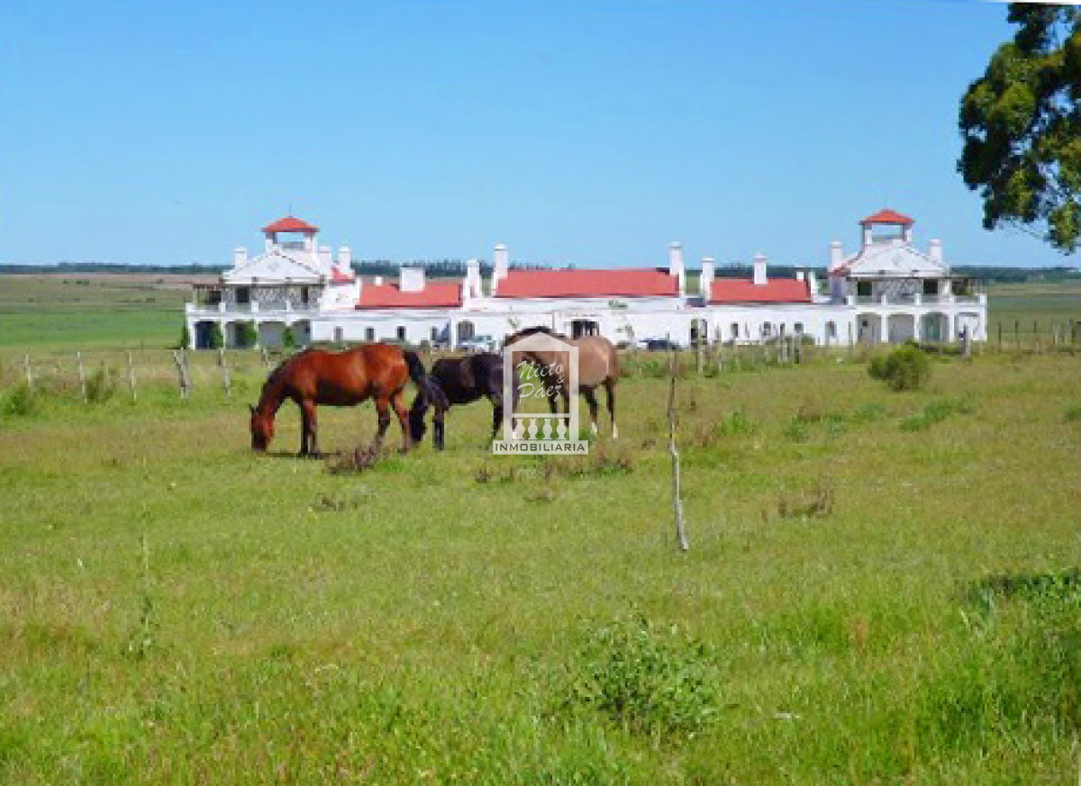 5.3 hectáreas al lado de Estancia Vik.