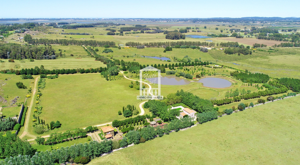 Camino Eguzquiza - GoPunta - Portal Inmobiliario de Punta del Este - Maldonado