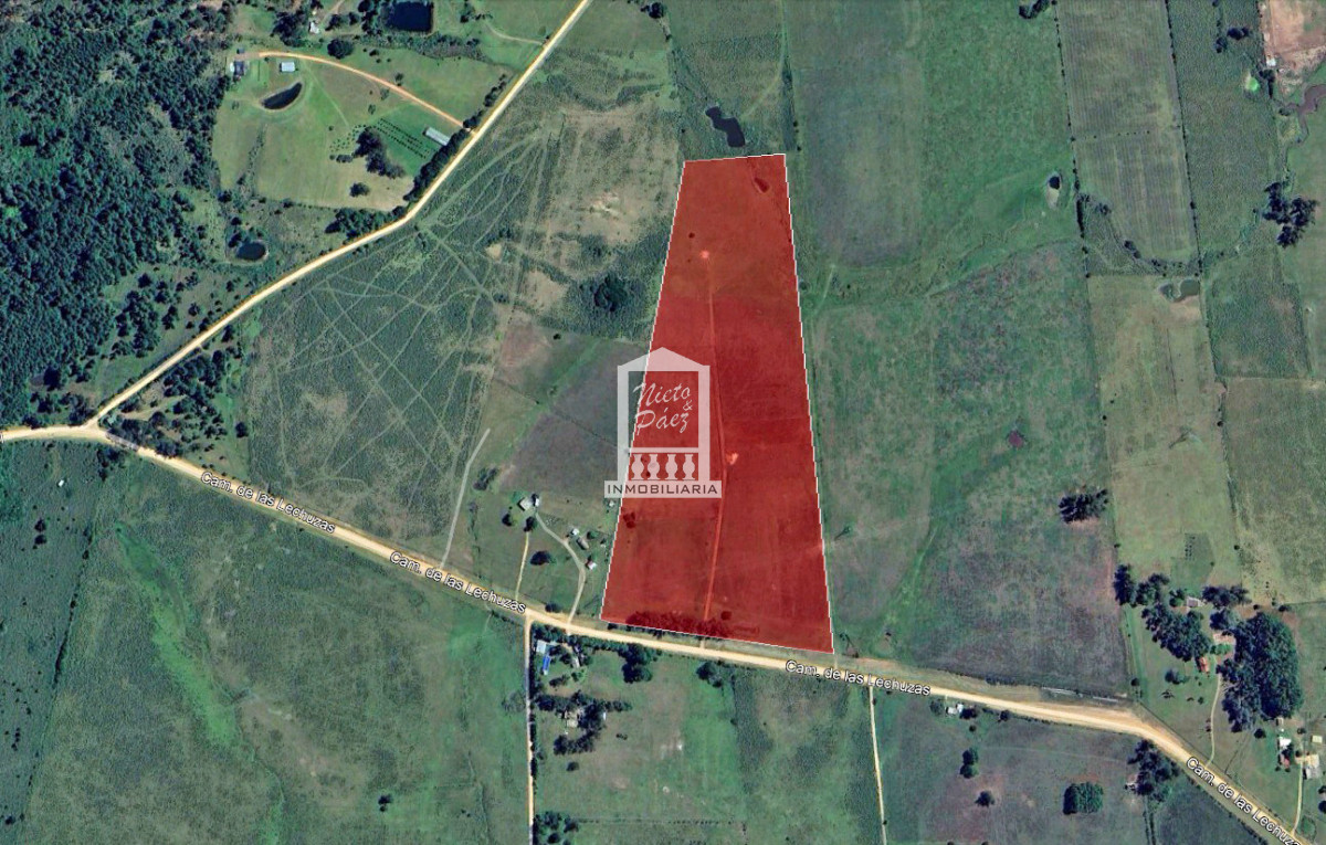 Chacra ID.40785 - 10.4 hectáreas a 20 km de Punta del Este