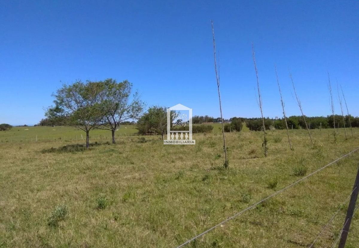 Chacra ID.36844 - Chacra 5 hectáreas, José Ignacio