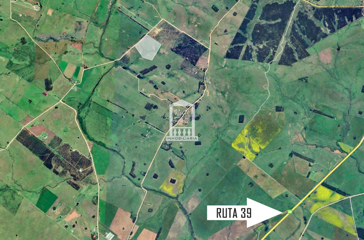 Chacra ID.40463 - 10 has en Sierra de los Caracoles, ruta 39. Pequeña Toscana