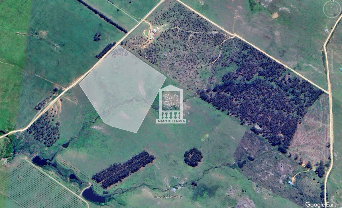 Ruta 39 - GoPunta - Portal Inmobiliario de Punta del Este - Maldonado