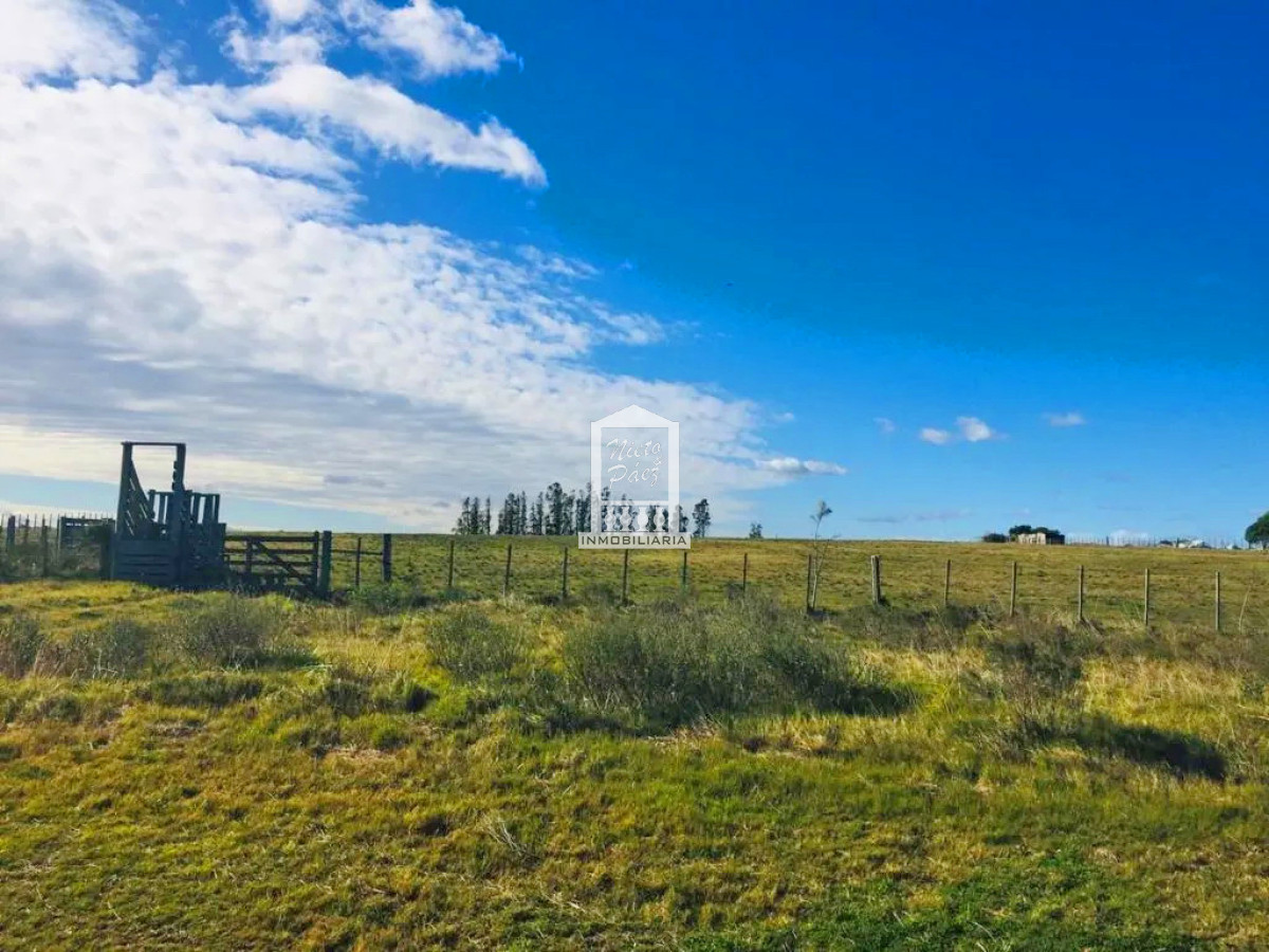 Campo Ref.38546 - Sobre Ruta 39, a 8 km de San Carlos