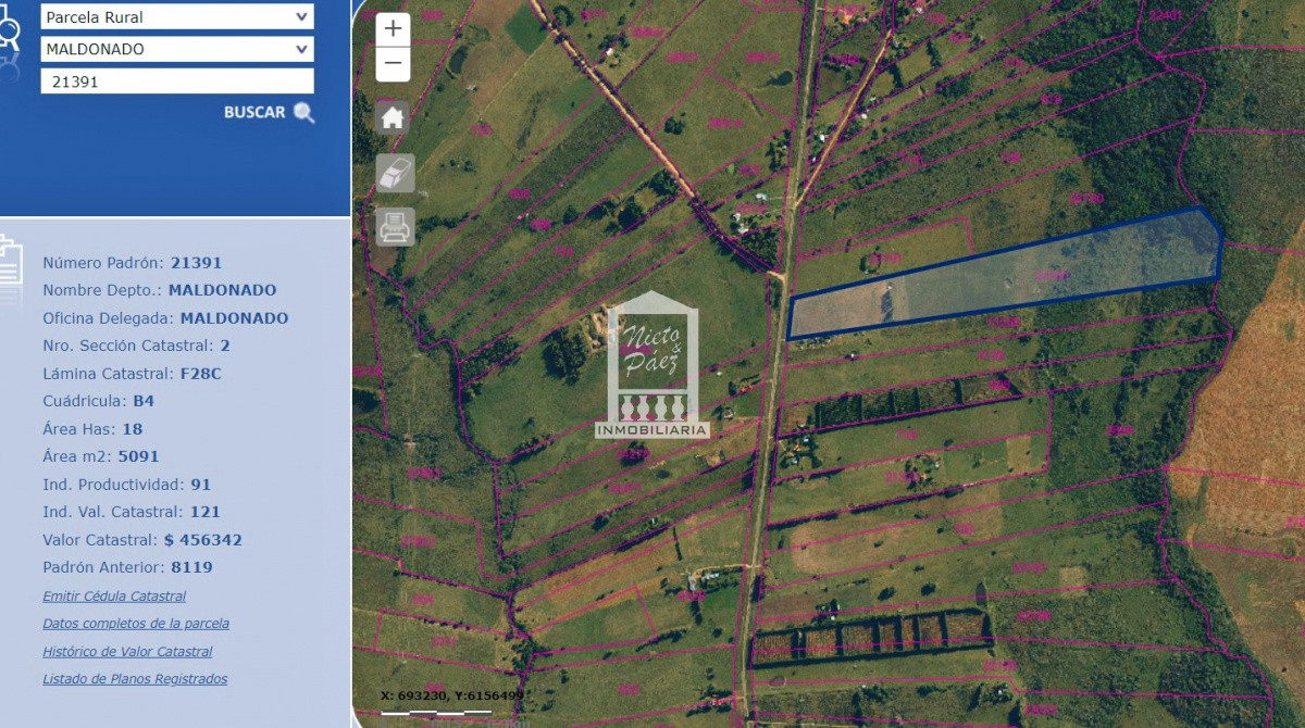 Campo Ref.38546 - Sobre Ruta 39, a 8 km de San Carlos
