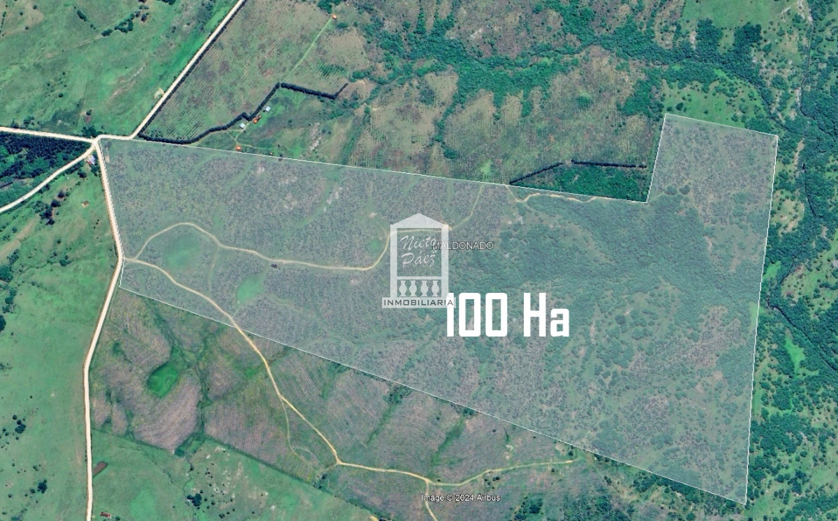 100 hectáreas a 39 km de San Carlos, Paraje Sierras de Carapé. - GoPunta - Portal Inmobiliario de Punta del Este - Maldonado