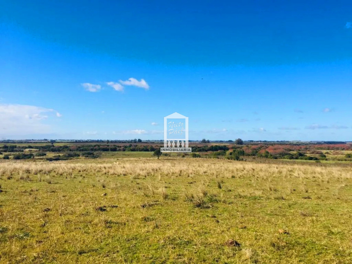 Campo Ref.38546 - Sobre Ruta 39, a 8 km de San Carlos