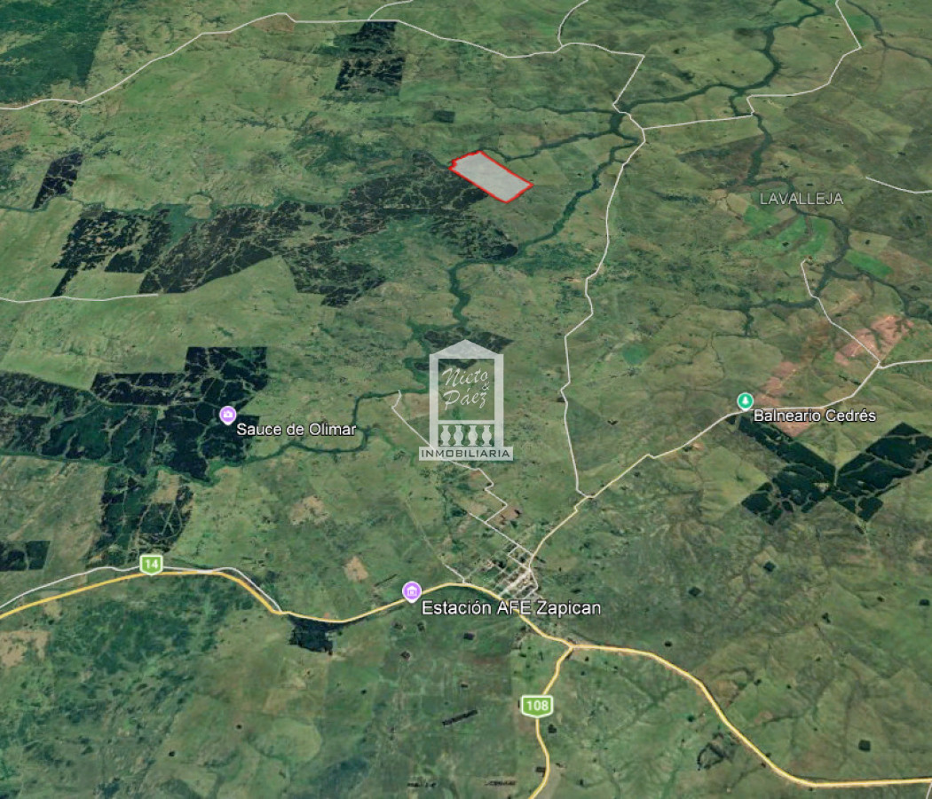 Campo Ref.41174 - 111 hectáreas a 10 km de Zapicán, Lavalleja