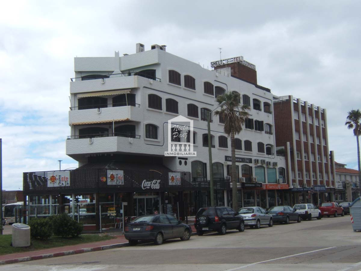 Local en Punta del Este, - GoPunta - Portal Inmobiliario de Punta del Este - Maldonado