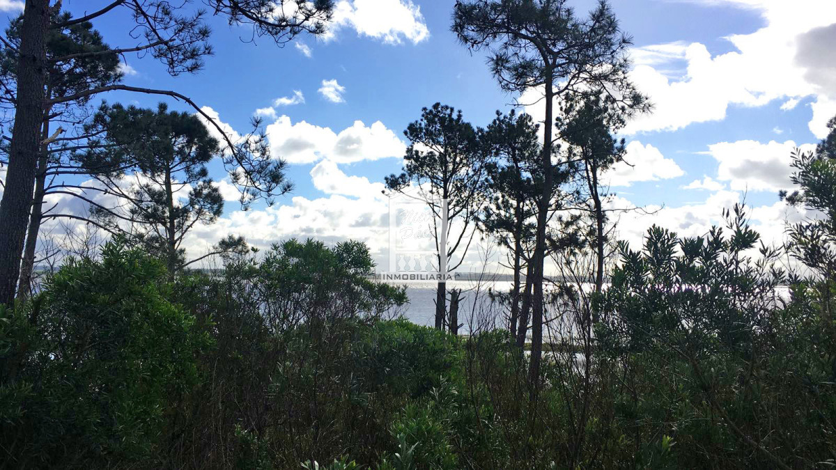 El Caracol - GoPunta - Portal Inmobiliario de Punta del Este - Maldonado