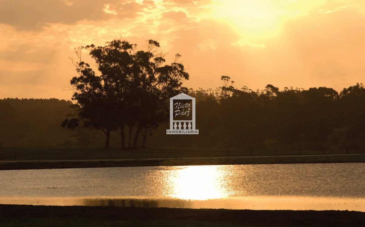 Laguna Estates - GoPunta - Portal Inmobiliario de Punta del Este - Maldonado
