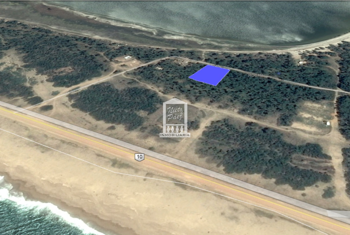 El Caracol - GoPunta - Portal Inmobiliario de Punta del Este - Maldonado