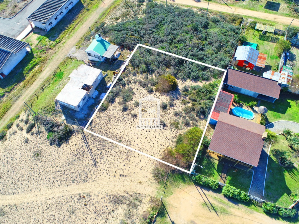 Sauce de Portezuelo - GoPunta - Portal Inmobiliario de Punta del Este - Maldonado