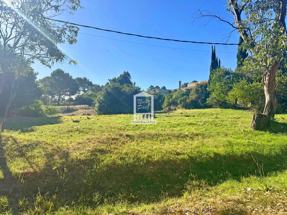 La Barra - GoPunta - Portal Inmobiliario de Punta del Este - Maldonado