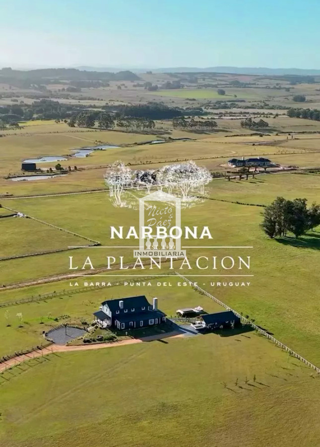 Ruta 104 - GoPunta - Portal Inmobiliario de Punta del Este - Maldonado