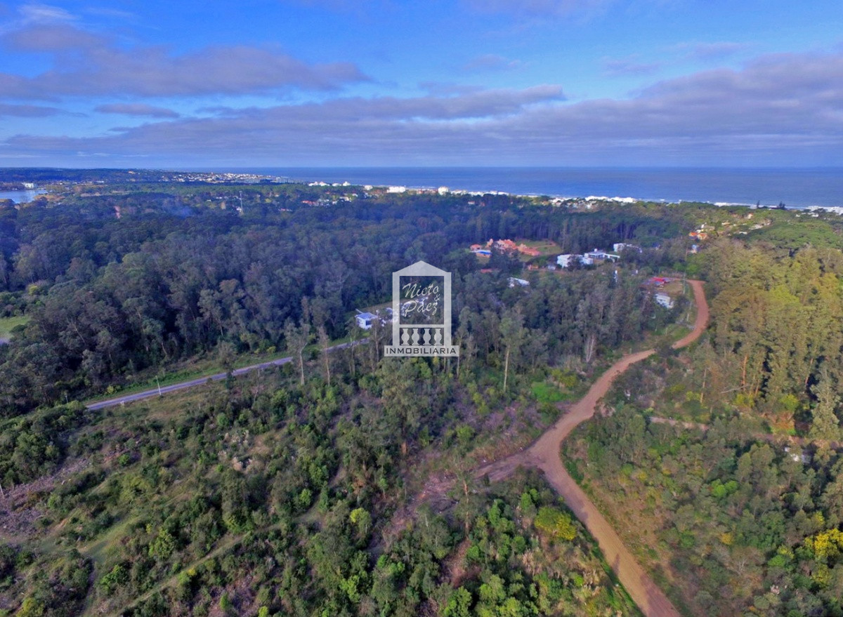 Golf - GoPunta - Portal Inmobiliario de Punta del Este - Maldonado