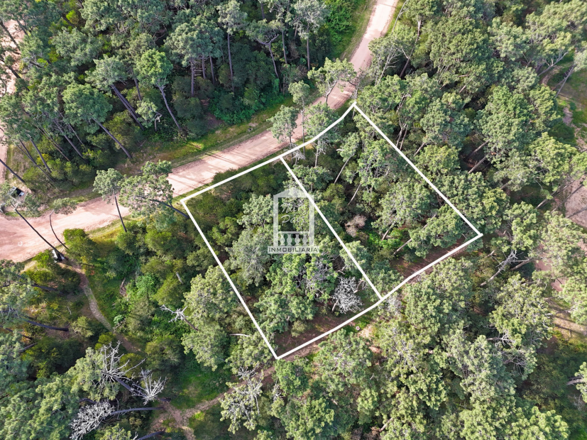 Reserva Montoya, 2.174 m2, 2 lotes juntos - NYP40781T