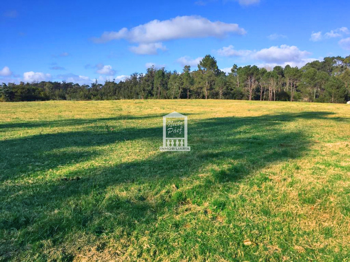 Golf - GoPunta - Portal Inmobiliario de Punta del Este - Maldonado
