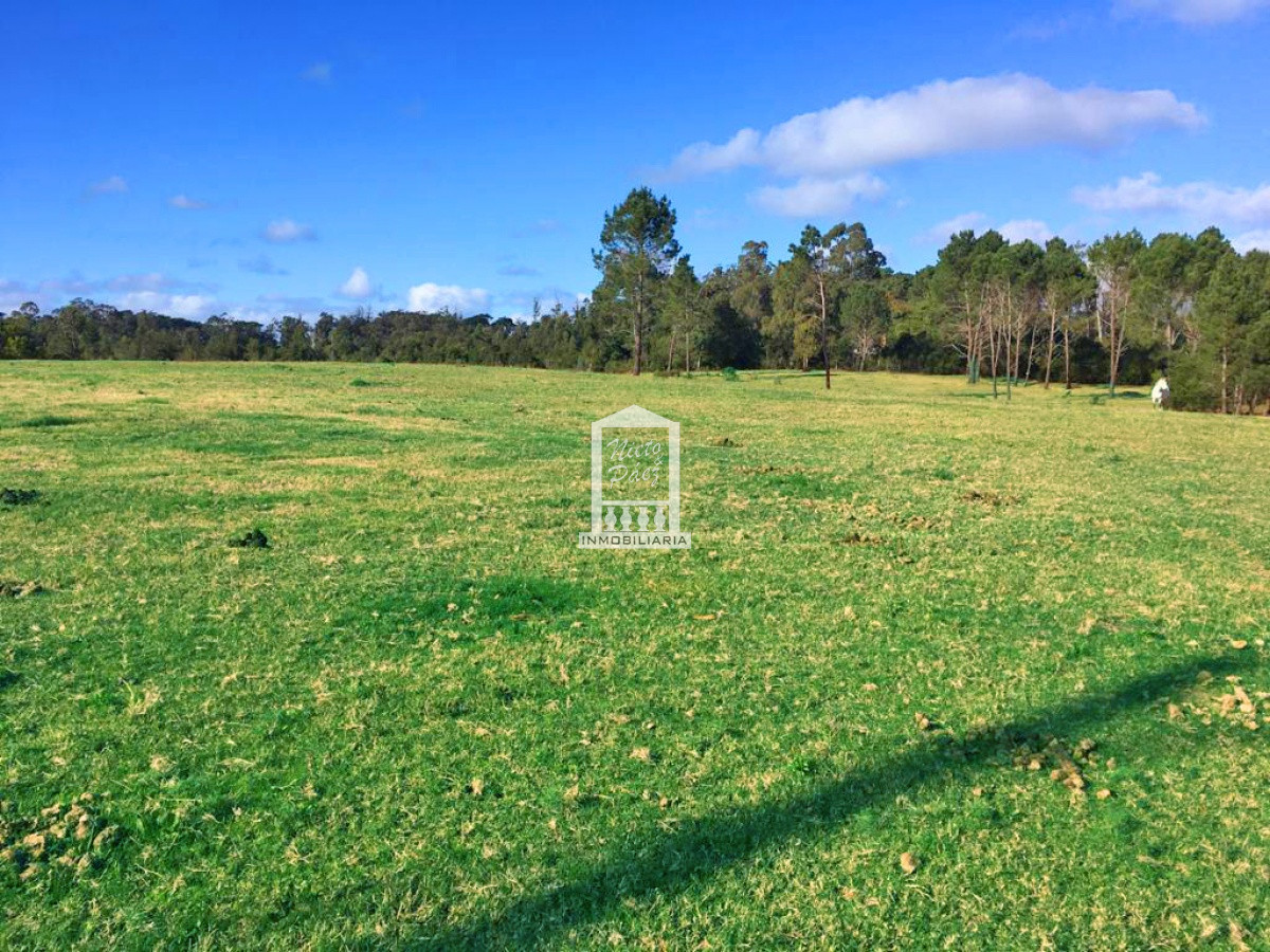 Golf - GoPunta - Portal Inmobiliario de Punta del Este - Maldonado