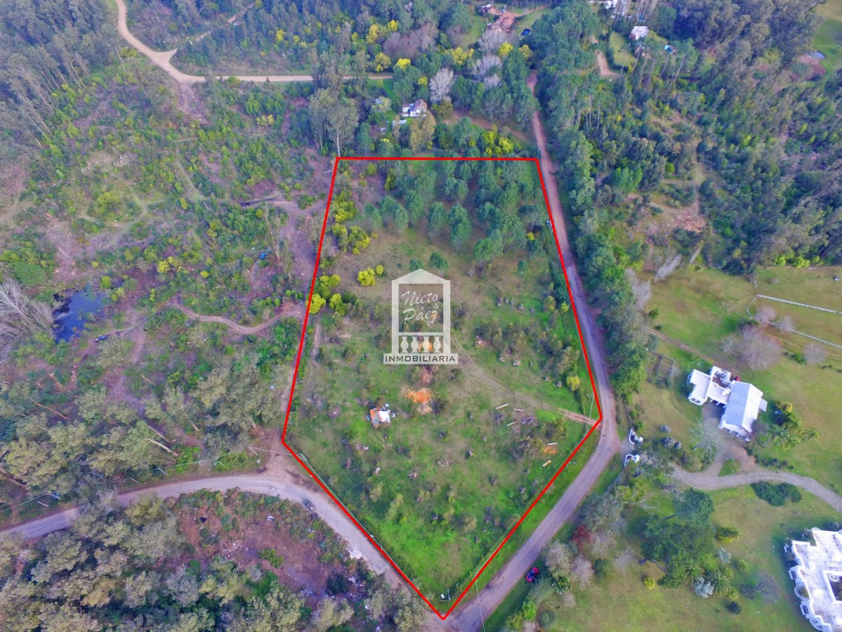 Golf - GoPunta - Portal Inmobiliario de Punta del Este - Maldonado