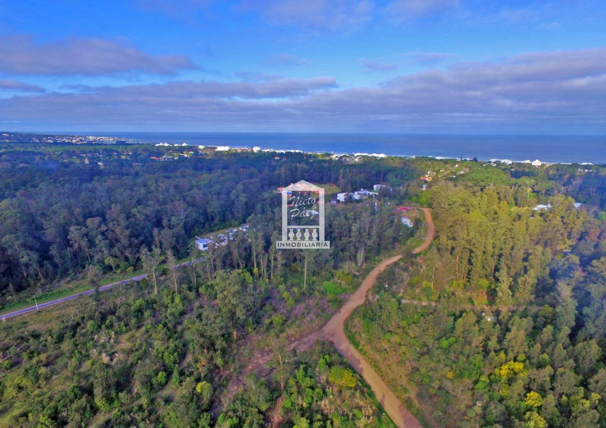 Golf - GoPunta - Portal Inmobiliario de Punta del Este - Maldonado
