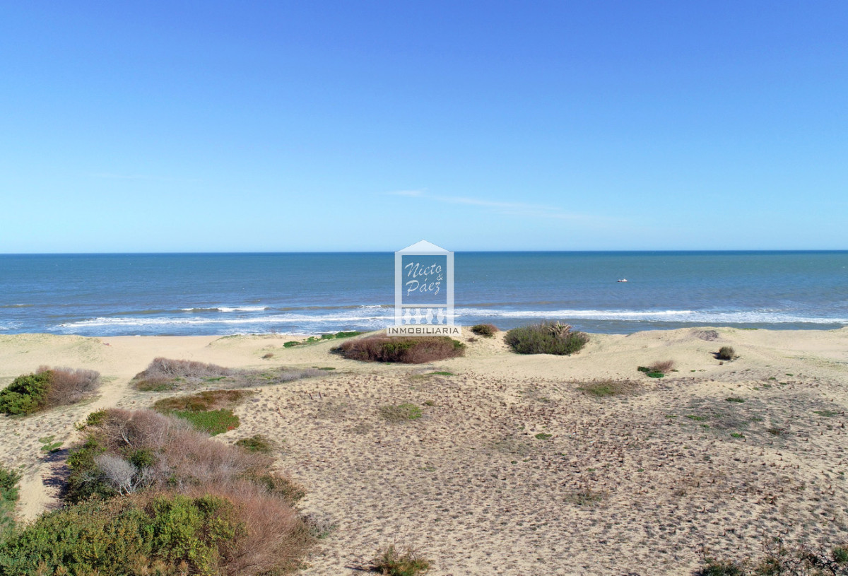 Sauce de Portezuelo - GoPunta - Portal Inmobiliario de Punta del Este - Maldonado