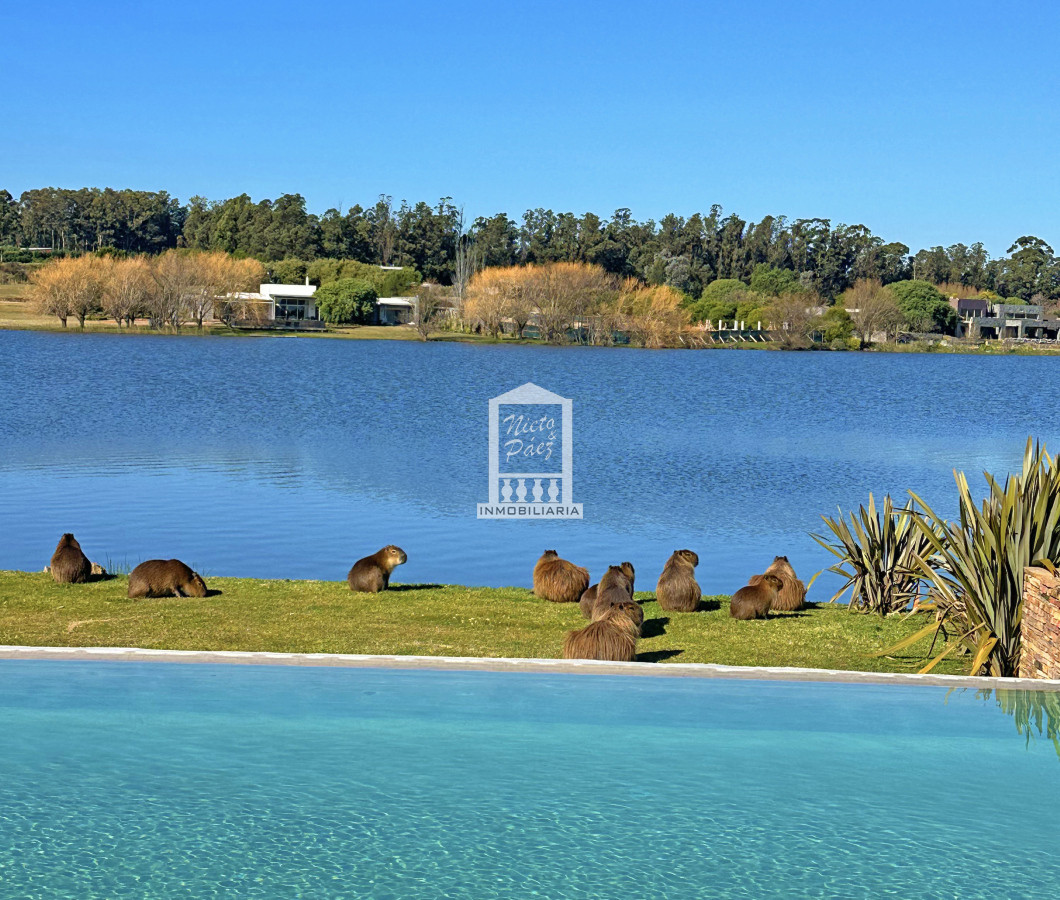 Pueblo Mio - GoPunta - Portal Inmobiliario de Punta del Este - Maldonado