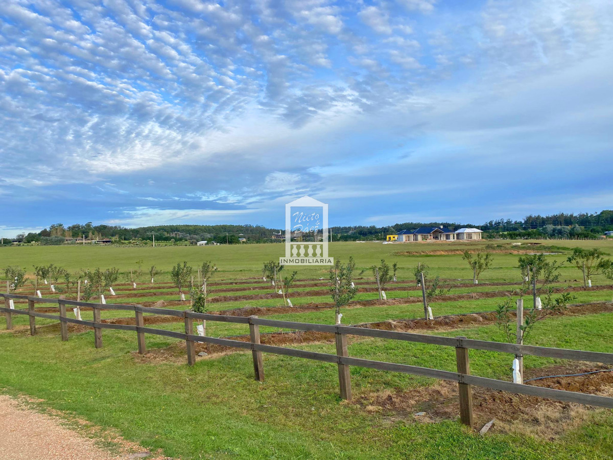 Ruta 104 - GoPunta - Portal Inmobiliario de Punta del Este - Maldonado