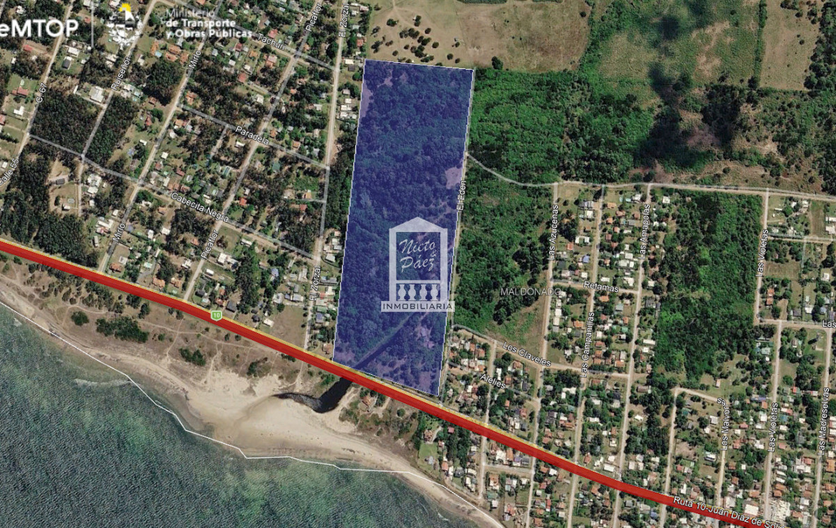 Oportunidad de Landbanking frente al mar | 10 hectáreas - Balneario Las Flores, Uruguay - NYP41028T