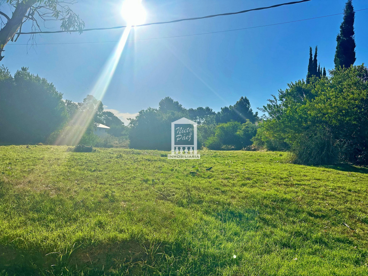 La Barra - GoPunta - Portal Inmobiliario de Punta del Este - Maldonado