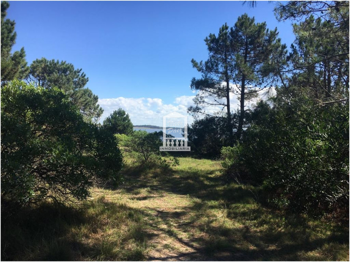 Laguna Garzu00f3n - GoPunta - Portal Inmobiliario de Punta del Este - Maldonado