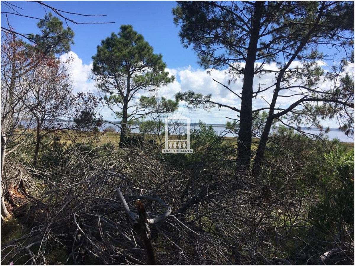 Laguna Garzu00f3n - GoPunta - Portal Inmobiliario de Punta del Este - Maldonado