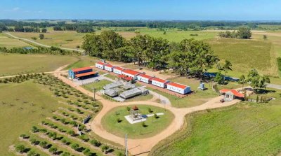 Lote de 10.000 m2 en Narbona La Plantación