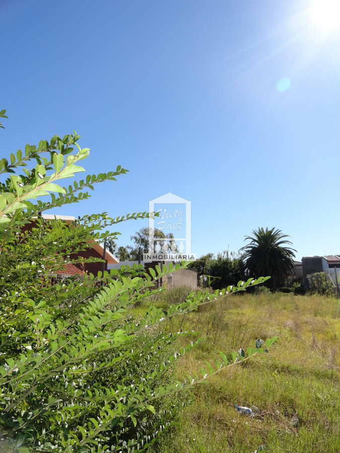 Terreno ID.36070 - Maldonado, calle Ituzaingó, Apto para bloque, Apto vivienda social.