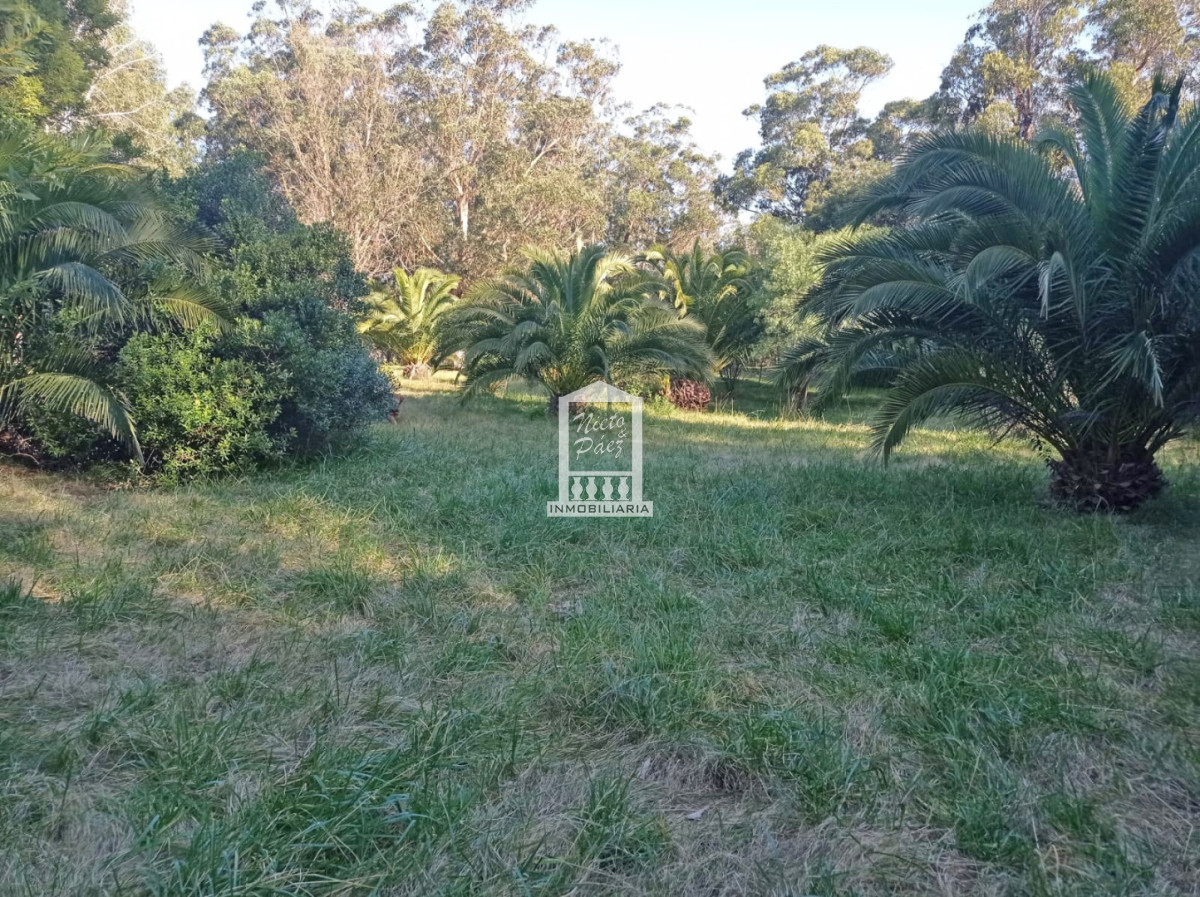 Terreno ID.41028 - Oportunidad de Landbanking frente al mar | 10 hectáreas - Balneario Las Flores, Uruguay