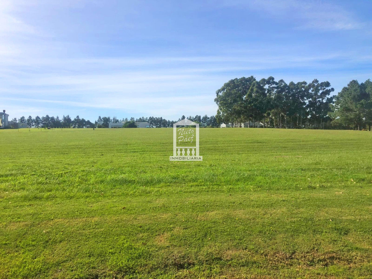 El Quijote - GoPunta - Portal Inmobiliario de Punta del Este - Maldonado