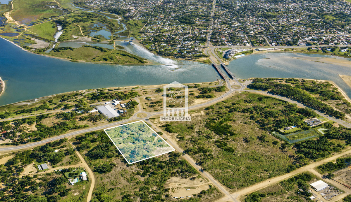 26.250 m2 sobre Aparicio Saravia