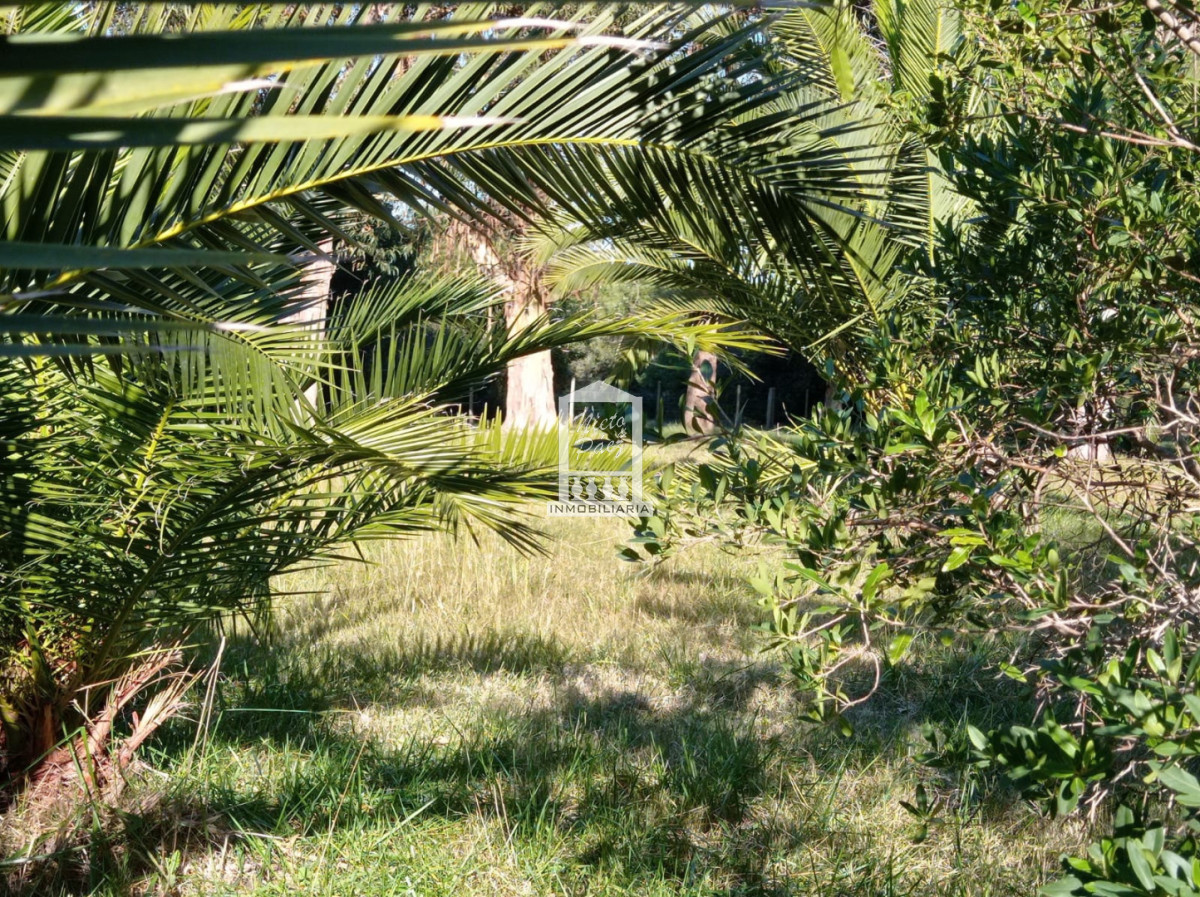 Terreno ID.41028 - Oportunidad de Landbanking frente al mar | 10 hectáreas - Balneario Las Flores, Uruguay