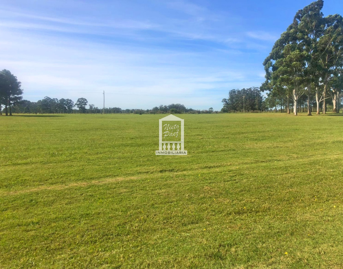 El Quijote - GoPunta - Portal Inmobiliario de Punta del Este - Maldonado