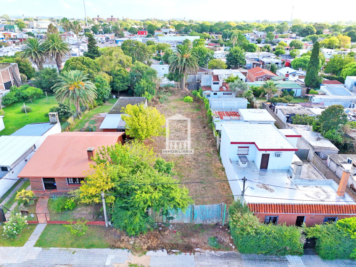 Terreno ID.36070 - Maldonado, calle Ituzaingó, Apto para bloque, Apto vivienda social.