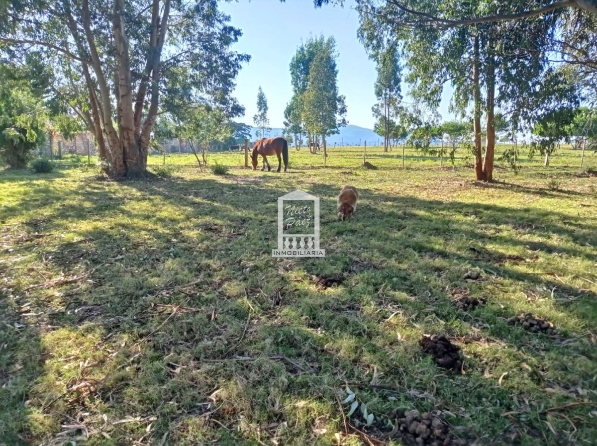 Terreno ID.41028 - Oportunidad de Landbanking frente al mar | 10 hectáreas - Balneario Las Flores, Uruguay